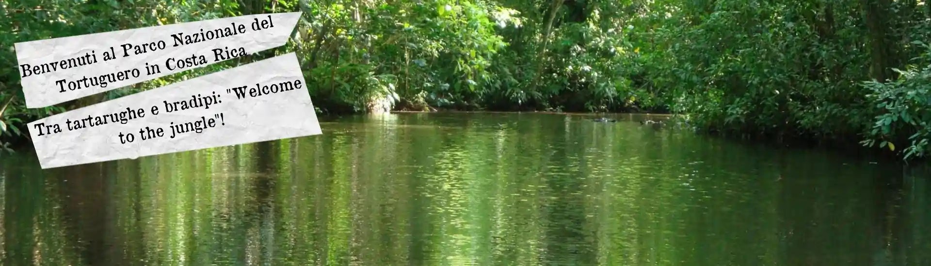 Parco Nazionale del Tortuguero in Costa Rica larga